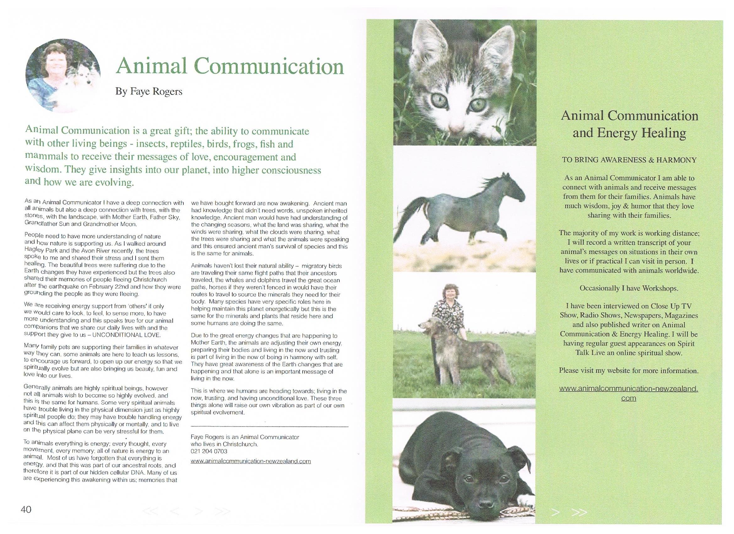 Into Light Magazine - September 2011 - Animal Communication - Faye Rogers -  Animal Communication - New Zealand