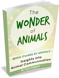 Animal_Communication_NZ_eBook_Wonder_of_Animals