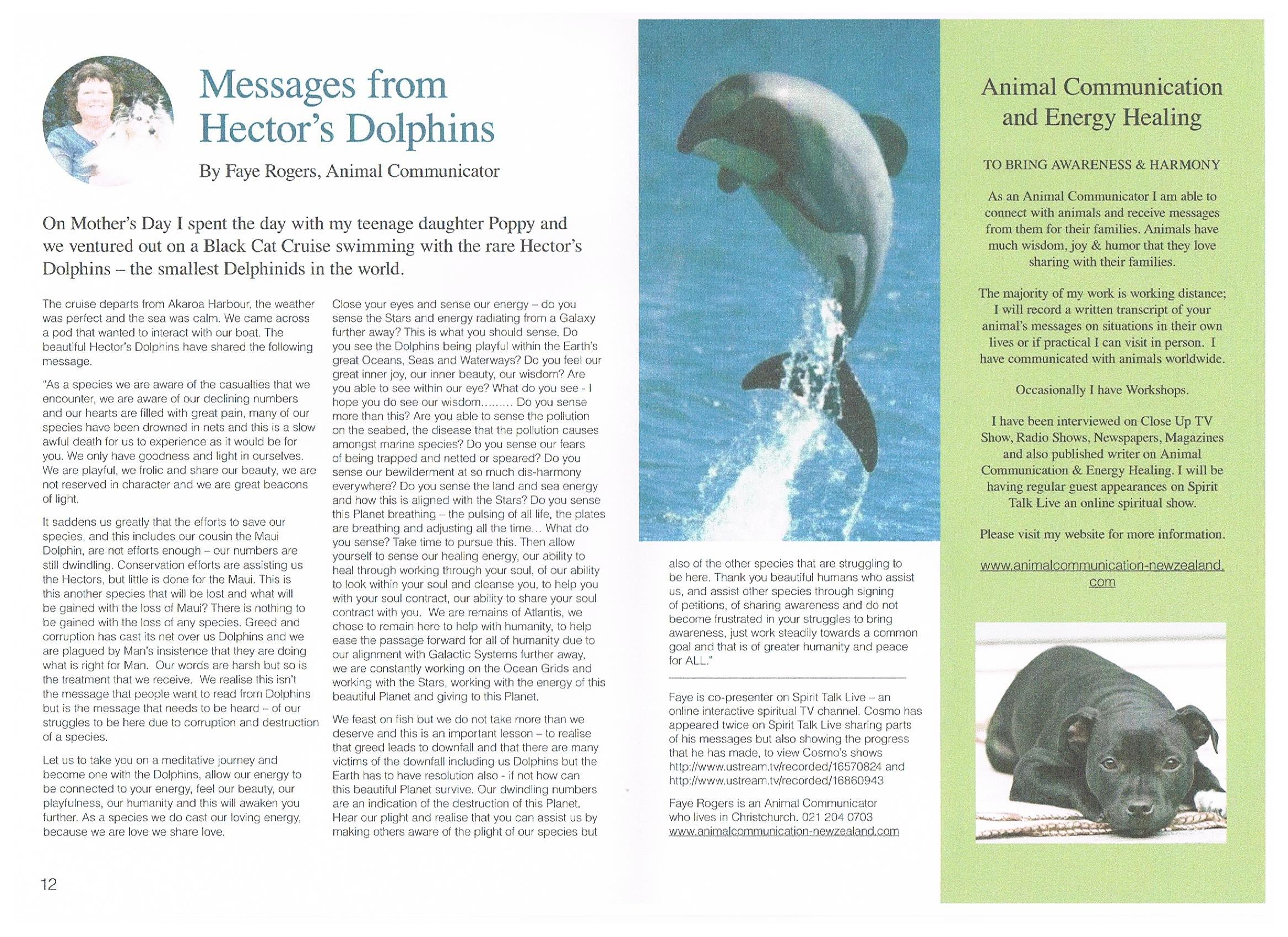 Into Light Magazine - June 2012 - Messages from Hector's Dolphins - Faye  Rogers - Animal Communication - New Zealand