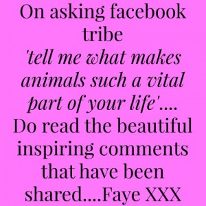facebook comment 2 (Small)
